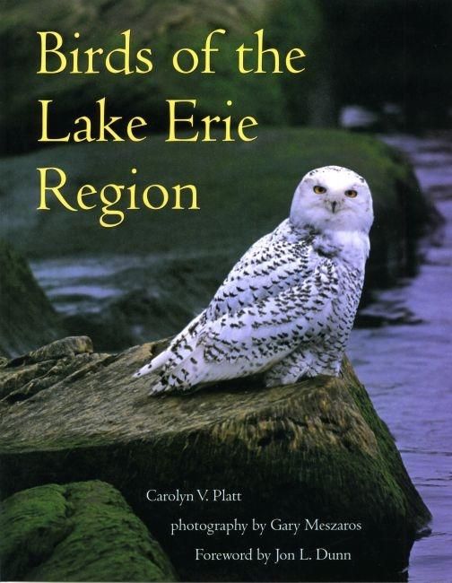 Produktbild: Birds of the Lake Erie Region