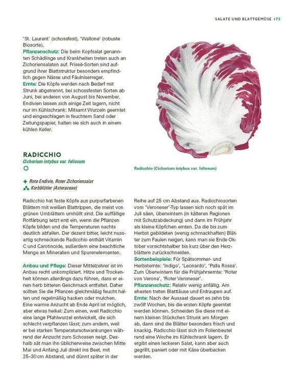 Produktbild: Das gro&szlig;e Gem&uuml;se- und Obstgartenbuch