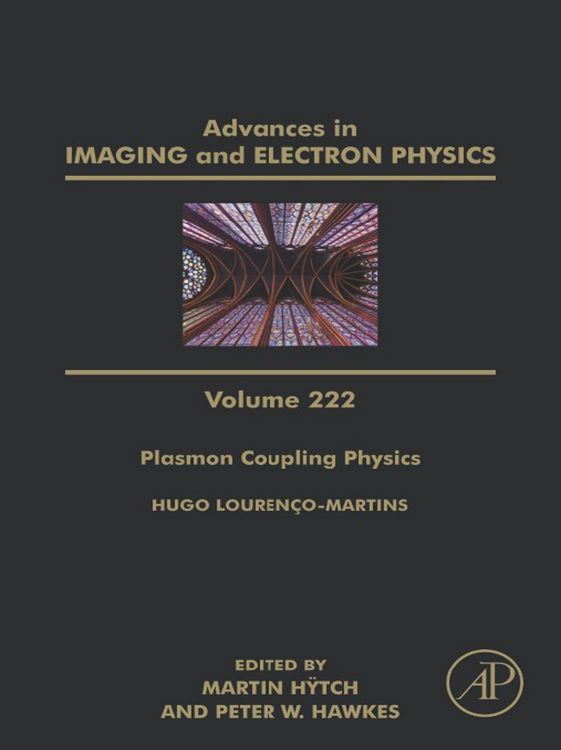 Produktbild: Plasmon Coupling Physics