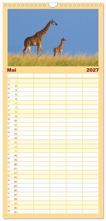 Produktbild: Familienplaner 2027 - Afrika Wildlife-Fotografien mit 5 Spalten (Wandkalender, 21 x 45 cm) CALVENDO
