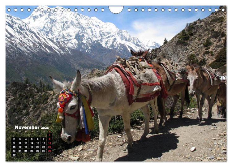 Produktbild: Nepal 2026 Menschen, Berge und G&ouml;tter zwischen Annapurna und Marsyangdi (Wandkalender 2026 DIN A4 quer), CALVENDO Monatskalender