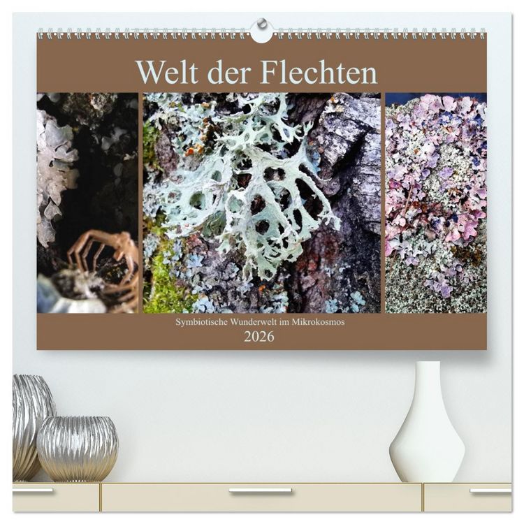 Produktbild: Welt der Flechten (hochwertiger Premium Wandkalender 2026 DIN A2 quer), Kunstdruck in Hochglanz