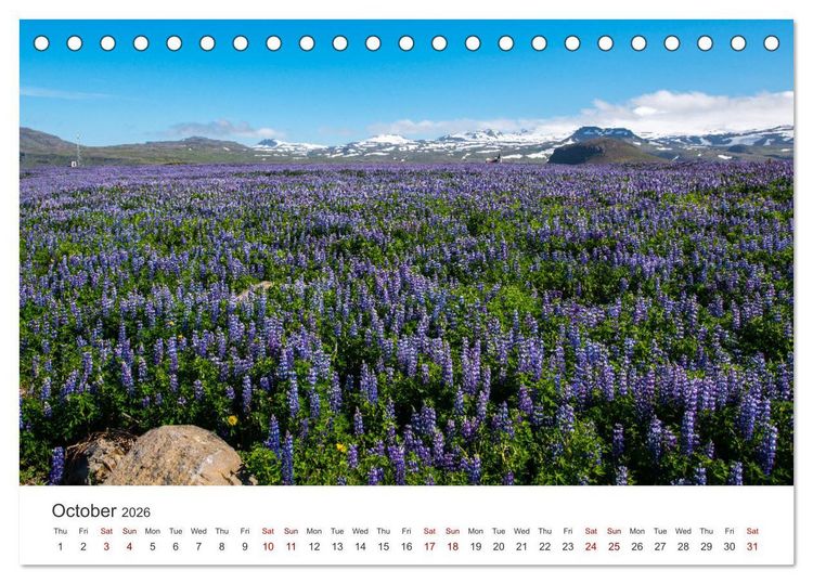 Produktbild: Summer in Iceland (Desk Calendar 2026 DIN A5 landscape), CALVENDO 12 Month DeskCalendar