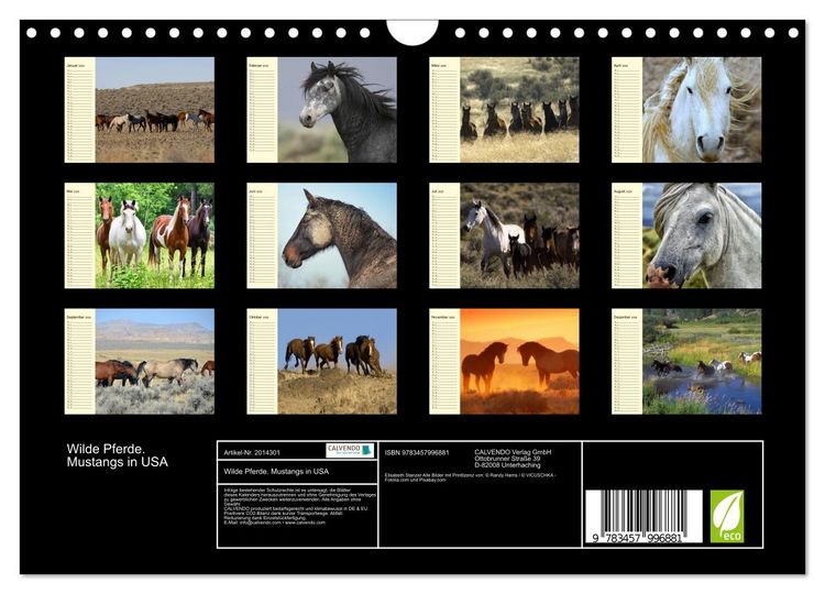 Produktbild: Wilde Pferde. Mustangs in USA (Wandkalender 2026 DIN A4 quer), CALVENDO Monatskalender