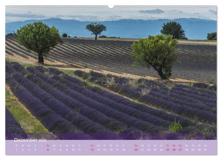 Produktbild: Die Farbe des Lavendels (hochwertiger Premium Wandkalender 2026 DIN A2 quer), Kunstdruck in Hochglanz