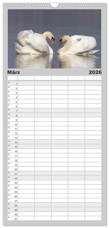 Produktbild: Familienplaner 2026 - Der H&ouml;ckerschwan elegant und stolz mit 5 Spalten (Wandkalender, 21 x 45 cm) CALVENDO