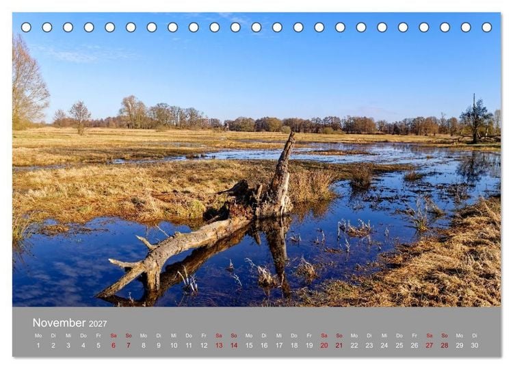 Produktbild: Naturerlebnis im Biosph&auml;renreservat Dr&ouml;mling (Tischkalender 2027 DIN A5 quer), CALVENDO Monatskalender