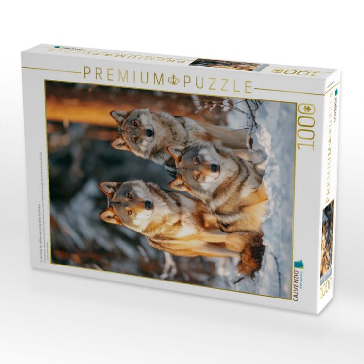 Produktbild: CALVENDO Puzzle In der K&auml;lte der Wildnis w&auml;rmt die N&auml;he des Rudels | 1000 Teile Lege-Gr&ouml;&szlig;e 64x48cm Foto-Puzzle f&uuml;r gl&uuml;ckliche Stunden