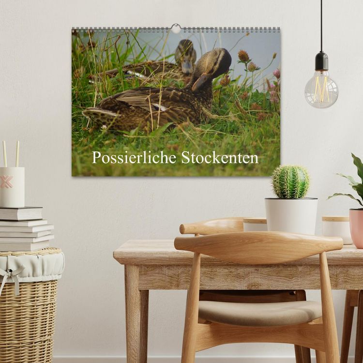 Produktbild: Possierliche Stockenten (Wandkalender 2026 DIN A3 quer), CALVENDO Monatskalender