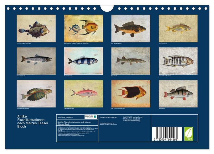 Produktbild: Antike Fischillustrationen nach Marcus Elieser Bloch (Wandkalender 2026 DIN A4 quer), CALVENDO Monatskalender