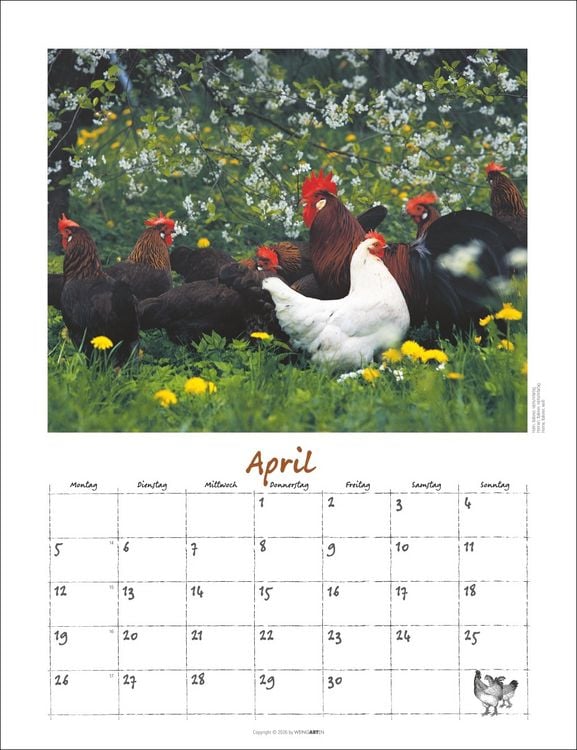 Produktbild: Der H&uuml;hnerkalender 2027