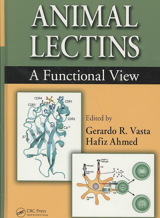 Produktbild: Animal Lectins: A Functional View
