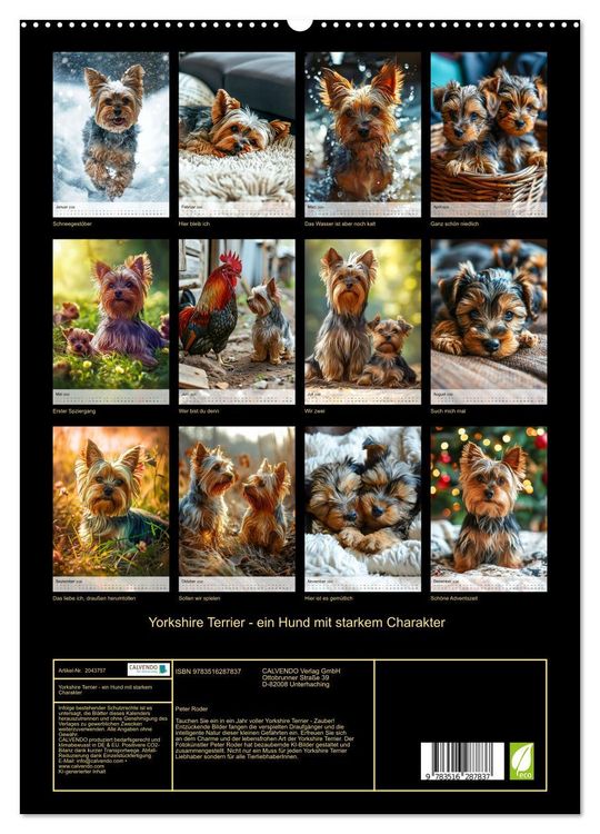 Produktbild: Yorkshire Terrier - ein Hund mit starkem Charakter (hochwertiger Premium Wandkalender 2026 DIN A2 hoch), Kunstdruck in Hochglanz