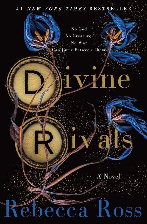 Produktbild: Divine Rivals