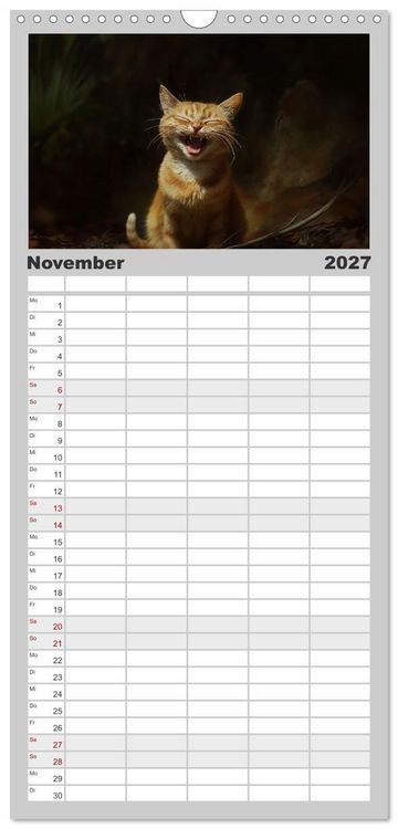 Produktbild: Familienplaner 2027 - Auch Katzen lachen gern mit 5 Spalten (Wandkalender, 21 x 45 cm) CALVENDO