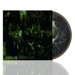 Produktbild: Anthems To The Welkin At Dusk (Ltd. Picture LP)