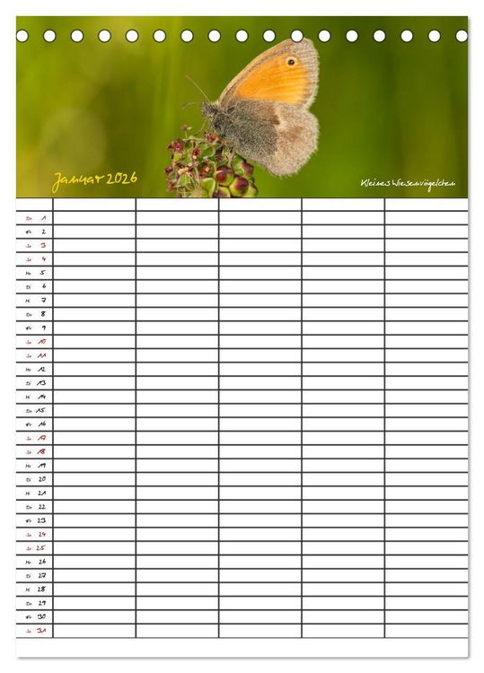 Produktbild: Schmetterlinge in Bayern (Tischkalender 2026 DIN A5 hoch), CALVENDO Monatskalender