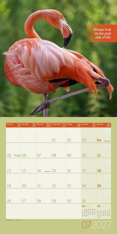 Produktbild: Keep Smiling Kalender 2027 - 30x30 - Art12