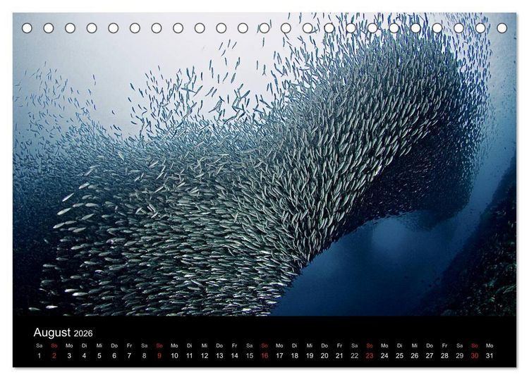 Produktbild: Philippinen - Natur und Fiesta (Tischkalender 2026 DIN A5 quer), CALVENDO Monatskalender