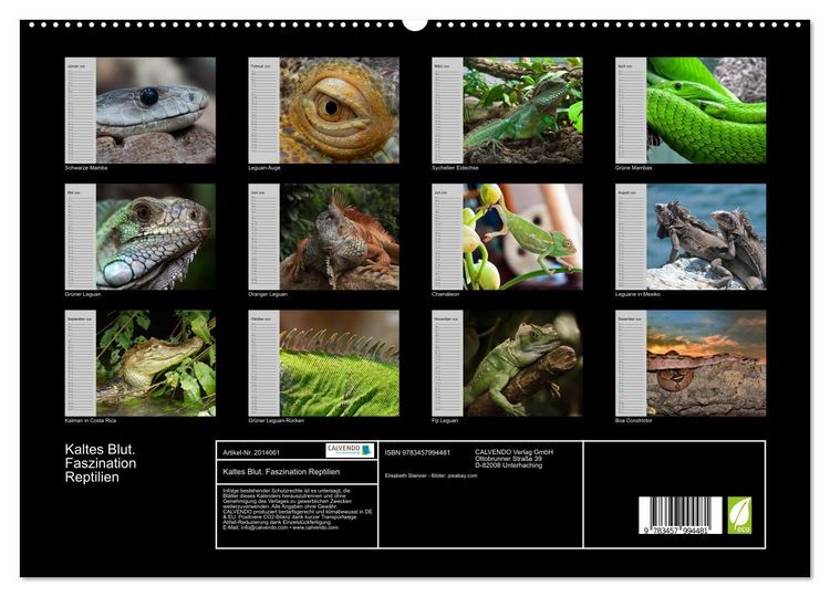 Produktbild: Kaltes Blut. Faszination Reptilien (hochwertiger Premium Wandkalender 2026 DIN A2 quer), Kunstdruck in Hochglanz