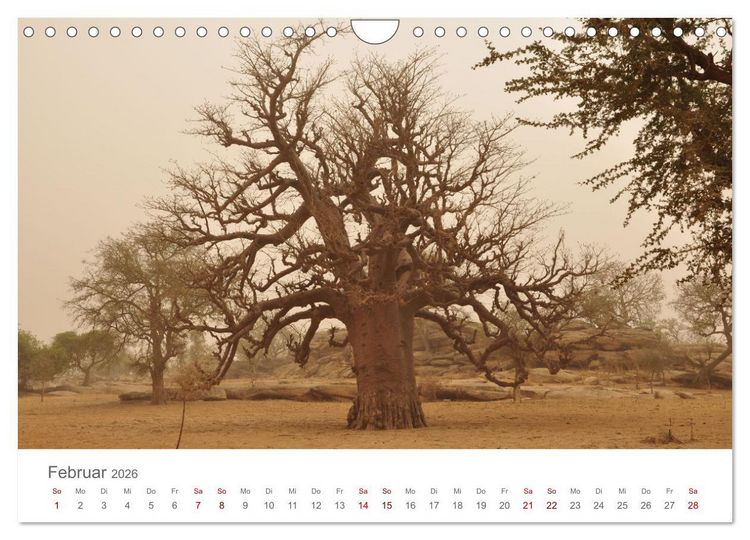 Produktbild: Mali - Dogonland - Weltkultur- und Weltnaturerbe (Wandkalender 2026 DIN A4 quer), CALVENDO Monatskalender