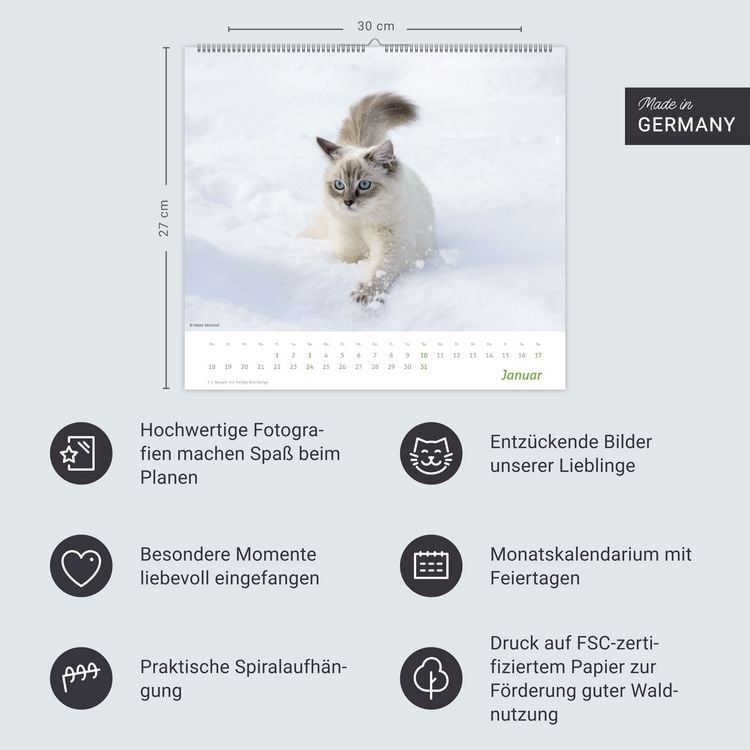 Produktbild: times&more Katzen Bildkalender 2027