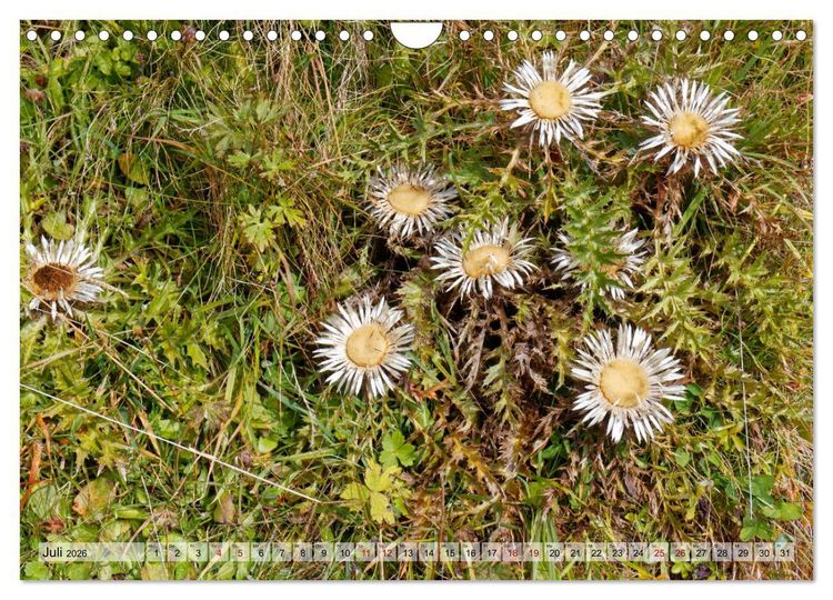 Produktbild: Herbst im Tannheimer Tal - Impressionen von Schattwald bis Nesselw&auml;ngle (Wandkalender 2026 DIN A4 quer), CALVENDO Monatskalender