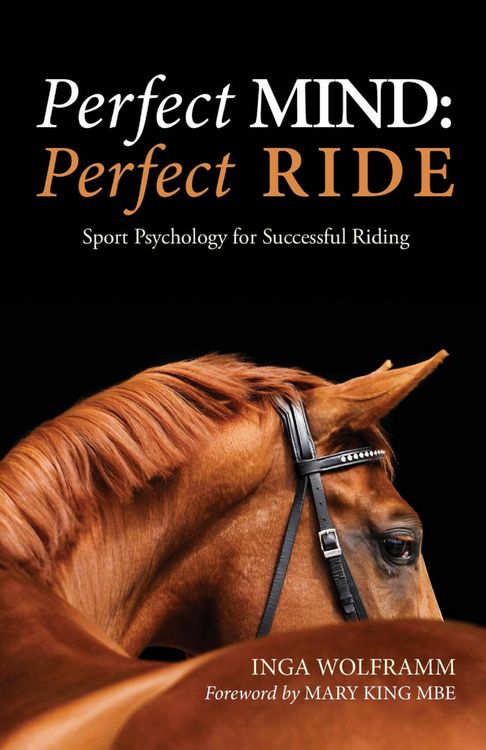Produktbild: Perfect Mind: Perfect Ride