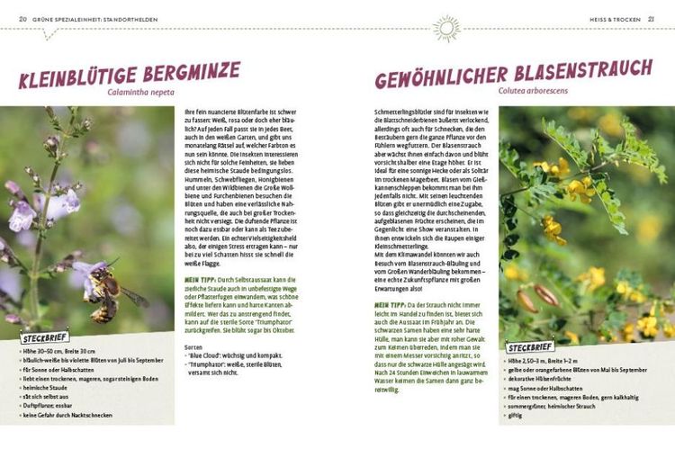 Produktbild: Superpflanzen
