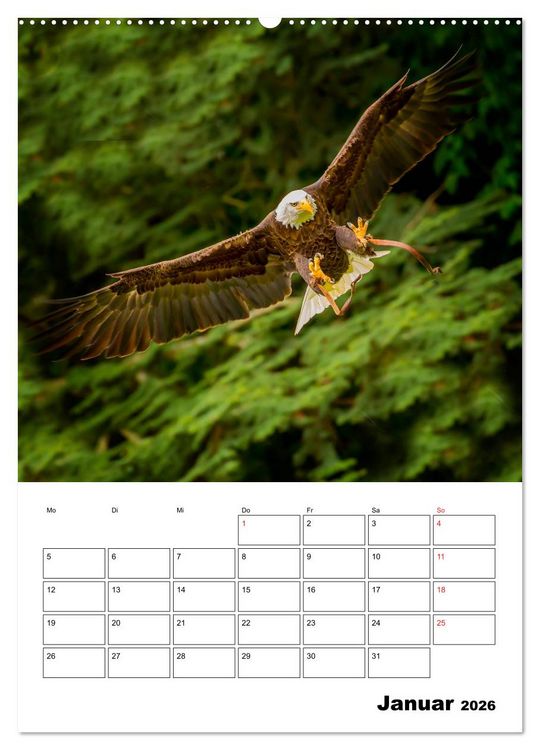 Produktbild: Raub- und Greifv&ouml;gel im Flug (hochwertiger Premium Wandkalender 2026 DIN A2 hoch), Kunstdruck in Hochglanz