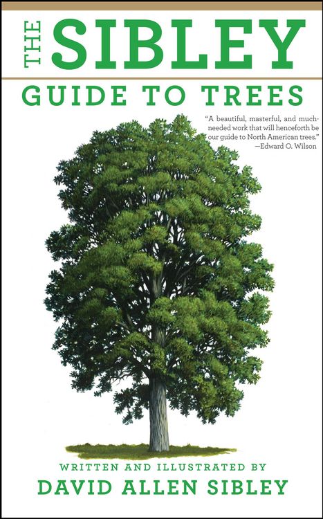 Produktbild: The Sibley Guide to Trees