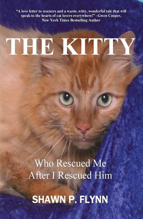 Produktbild: The Kitty