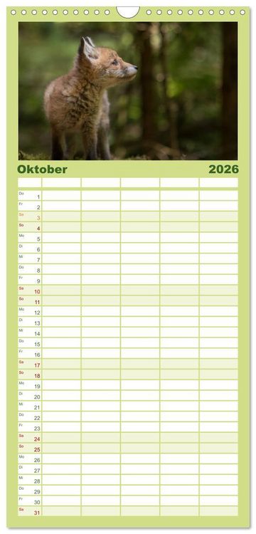 Produktbild: Familienplaner 2026 - Bei den Jungf&uuml;chsen mit 5 Spalten (Wandkalender, 21 x 45 cm) CALVENDO