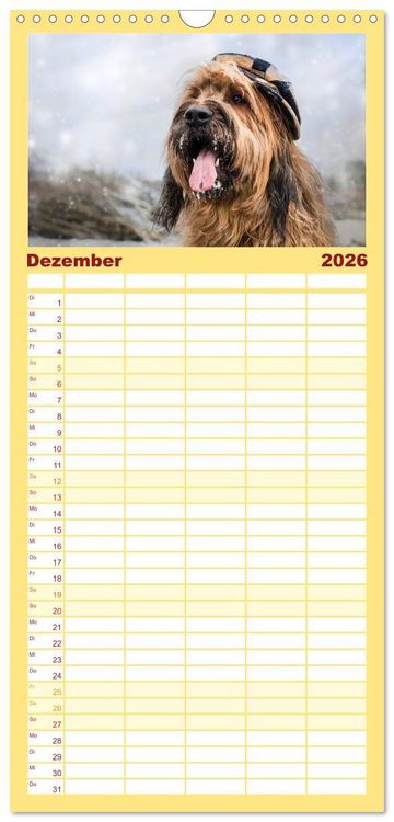 Produktbild: Familienplaner 2026 - Der Briard - Ein echter Charmeur mit 5 Spalten (Wandkalender, 21 x 45 cm) CALVENDO