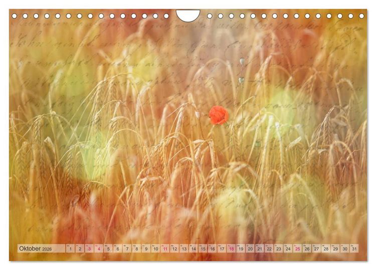 Produktbild: Vintage Nature - Romantische Naturaufnahmen (Wandkalender 2026 DIN A4 quer), CALVENDO Monatskalender