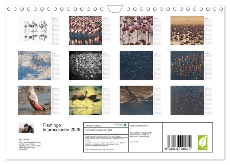 Produktbild: Flamingo Impressionen 2026 (Wandkalender 2026 DIN A4 quer), CALVENDO Monatskalender