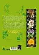 Produktbild: Die Kr&auml;uter in meinem Garten