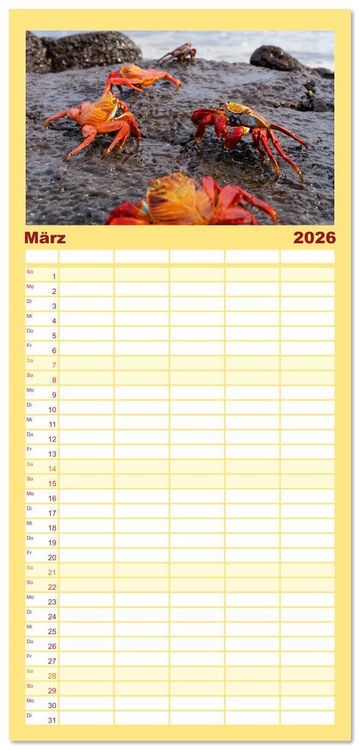 Produktbild: Familienplaner 2026 - Entdecke Galapagos mit 5 Spalten (Wandkalender, 21 x 45 cm) CALVENDO