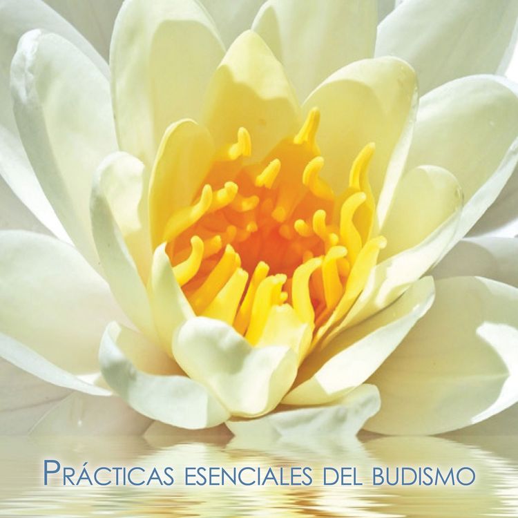 Produktbild: Pr&aacute;cticas esenciales del budismo