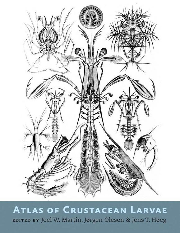 Produktbild: Atlas of Crustacean Larvae