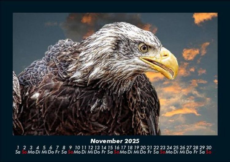 Produktbild: Adler 2025 Fotokalender DIN A5