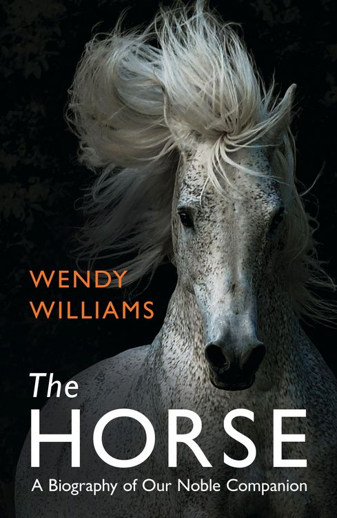 Produktbild: The Horse