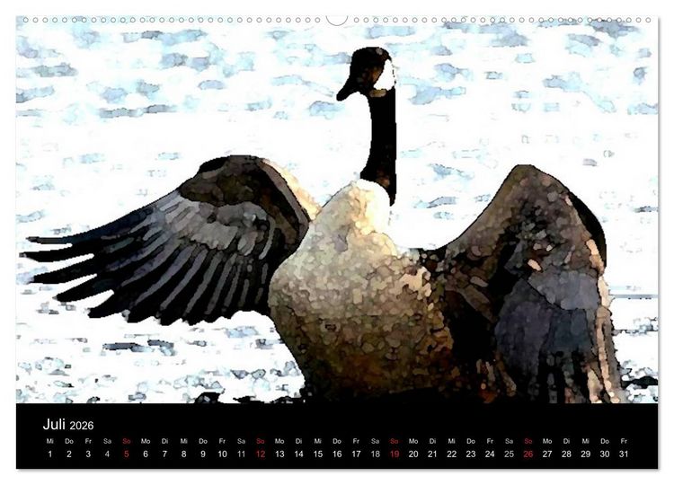Produktbild: Neufundland entdecken (hochwertiger Premium Wandkalender 2026 DIN A2 quer), Kunstdruck in Hochglanz