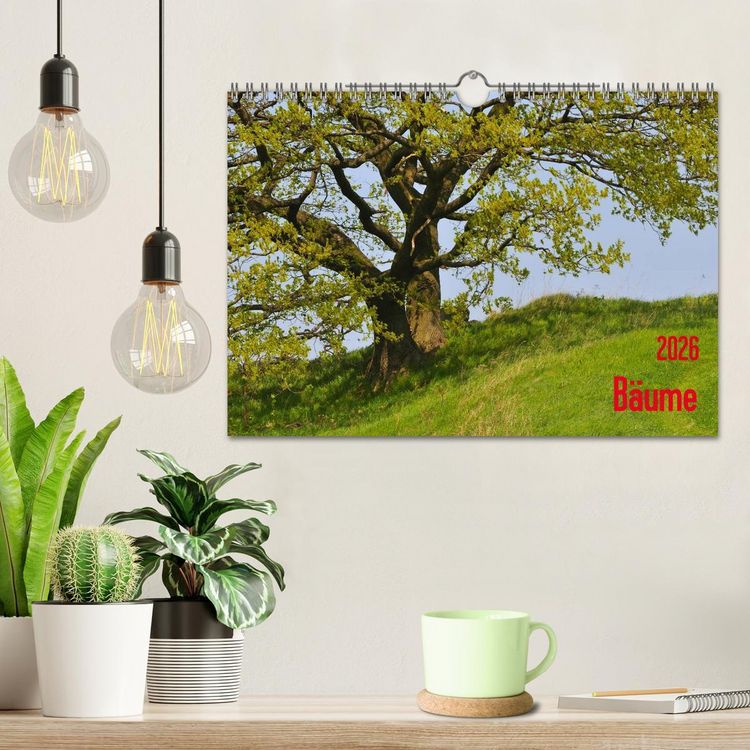 Produktbild: B&auml;ume (Wandkalender 2026 DIN A4 quer), CALVENDO Monatskalender