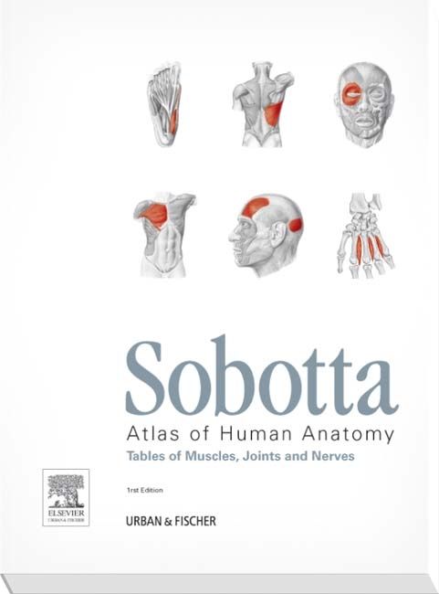 Produktbild: Paulsen, F: Sobotta Tables of Muscles, Joints and Nerves, En