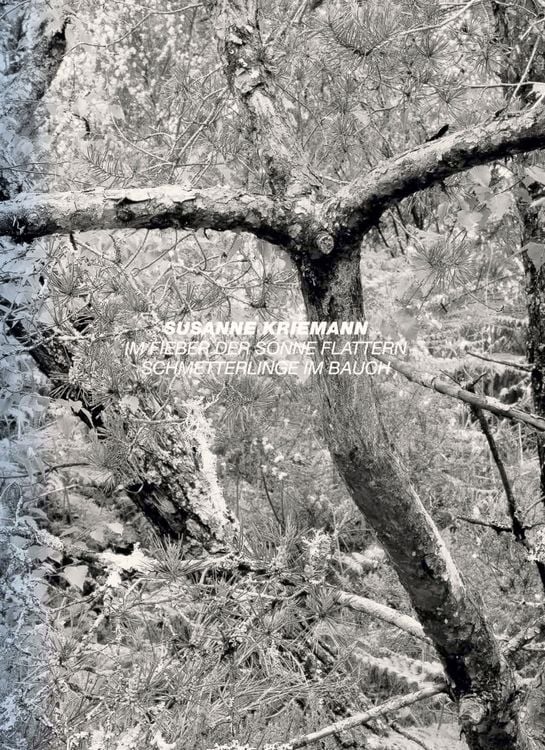 Produktbild: After Nature | Ulrike Crespo Photography Prize 2026