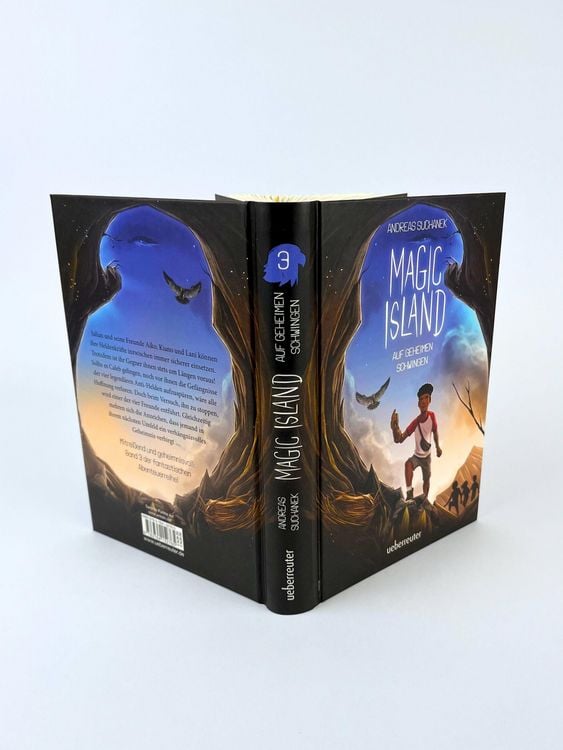 Produktbild: Magic Island &ndash; Auf geheimen Schwingen (Magic Island, Bd. 3)