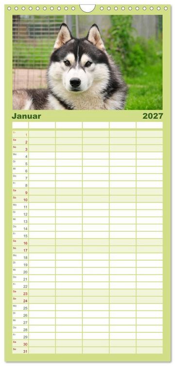Produktbild: Familienplaner 2027 - Huskys - Traumhunde mit 5 Spalten (Wandkalender, 21 x 45 cm) CALVENDO