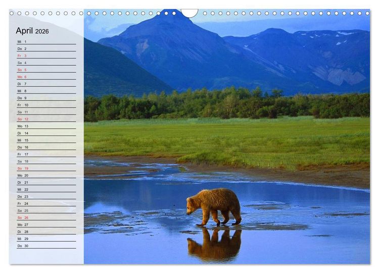 Produktbild: Alaska - Weites Land (Wandkalender 2026 DIN A3 quer), CALVENDO Monatskalender