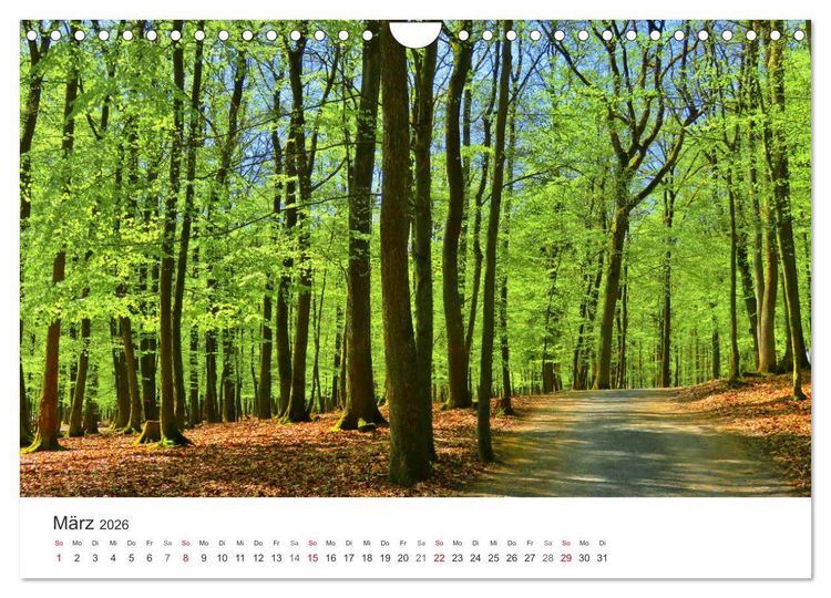Produktbild: Wege durchs Jahr- Zitate begleiten auf romantisch sch&ouml;nen Wegen (Wandkalender 2026 DIN A4 quer), CALVENDO Monatskalender